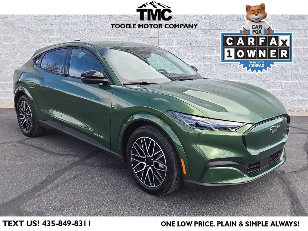 2025 Ford Mustang-Mach-e Premium's photo